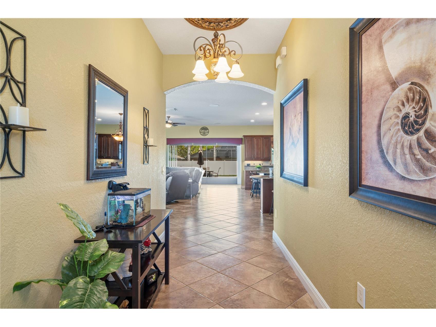 204 Bengal Circle Oldsmar FL 34677 O6388593 image3