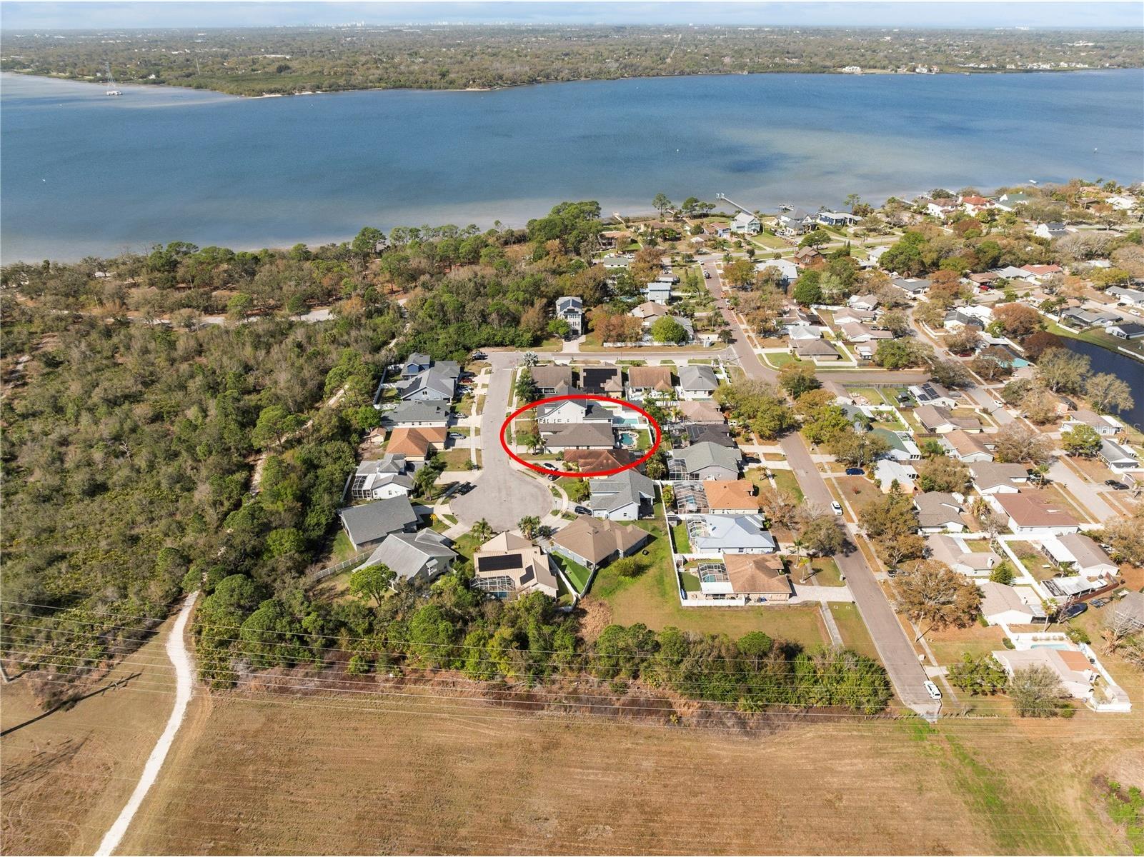 204 Bengal Circle Oldsmar FL 34677 O6388593 image31