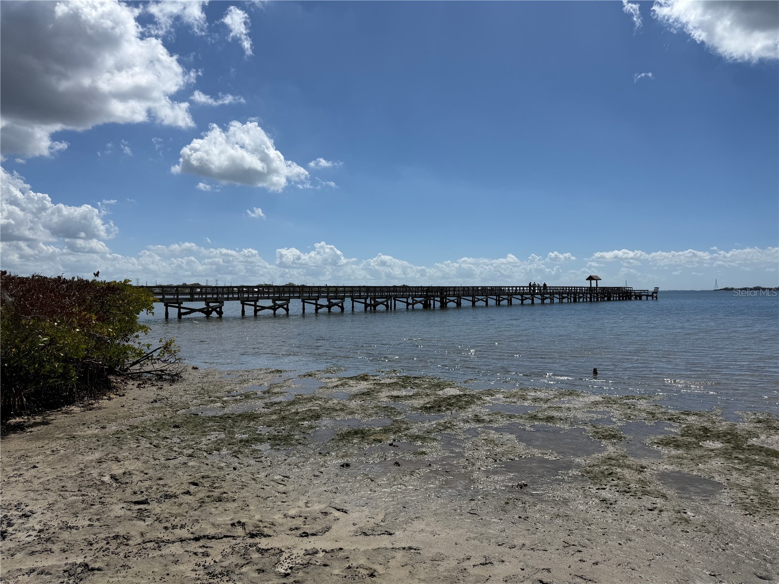 204 Bengal Circle Oldsmar FL 34677 O6388593 image33