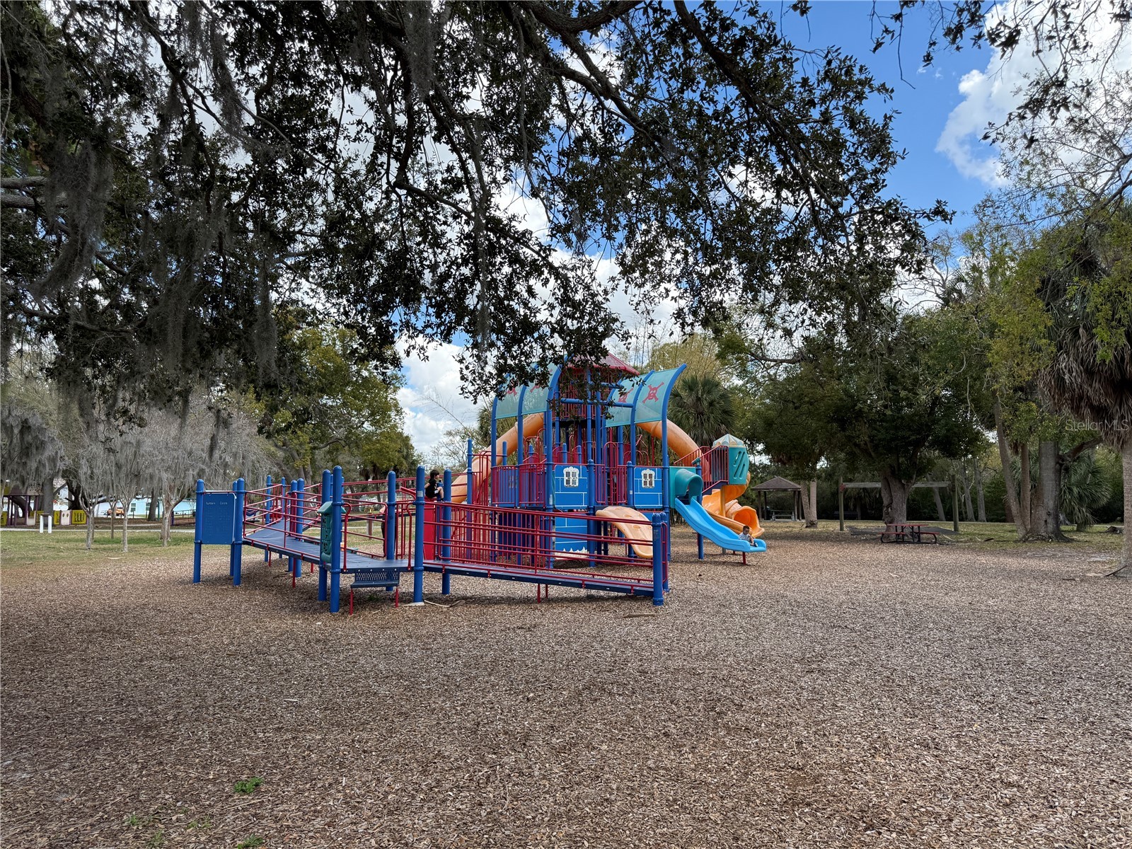 204 Bengal Circle Oldsmar FL 34677 O6388593 image34