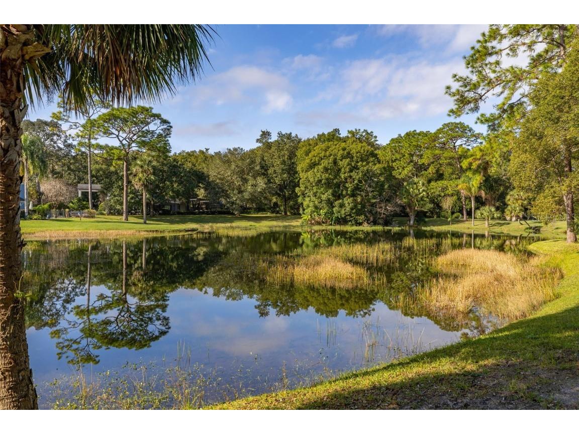 204 Blue Lake Drive Longwood FL 32779 S5140226 image65