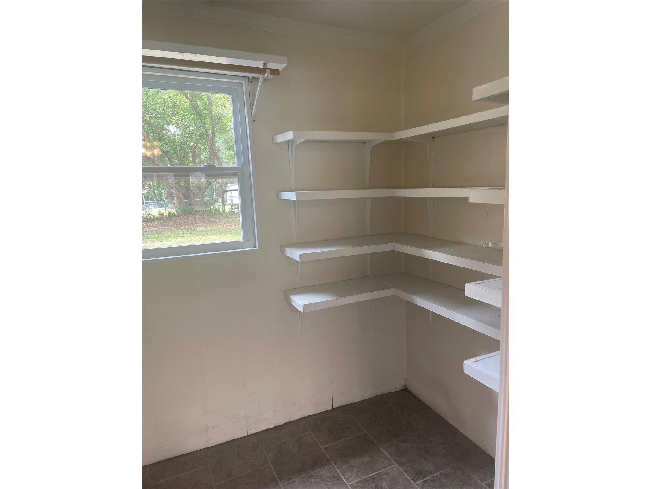 204 Callitris Avenue Polk City FL 33868 L4960704 image14