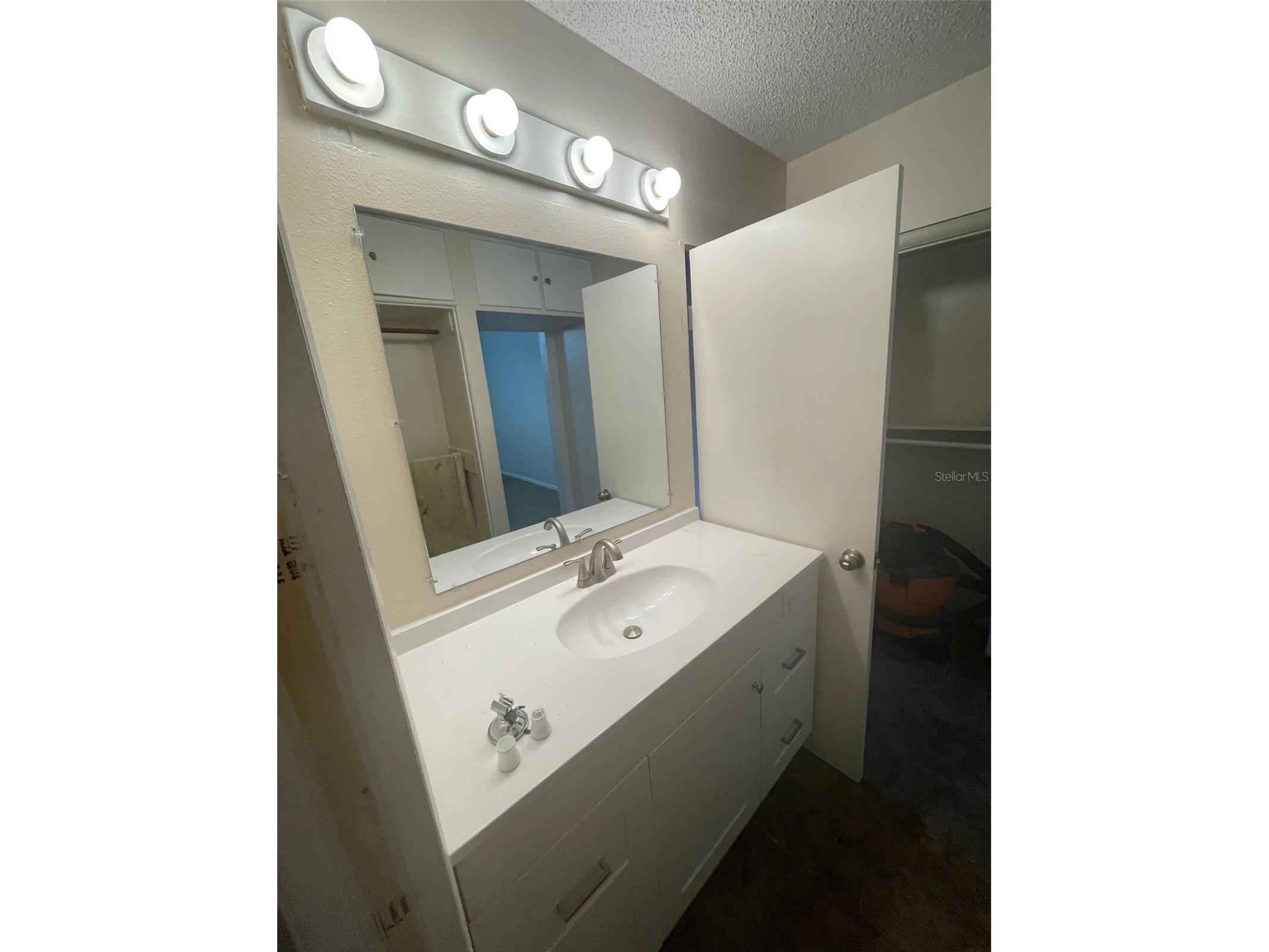 204 Callitris Avenue Polk City FL 33868 L4960704 image8