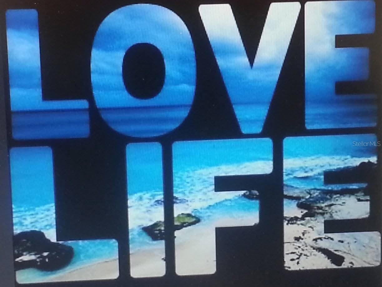 204 Carriage House Lane #204 Nokomis FL 34275 C7523609 image95