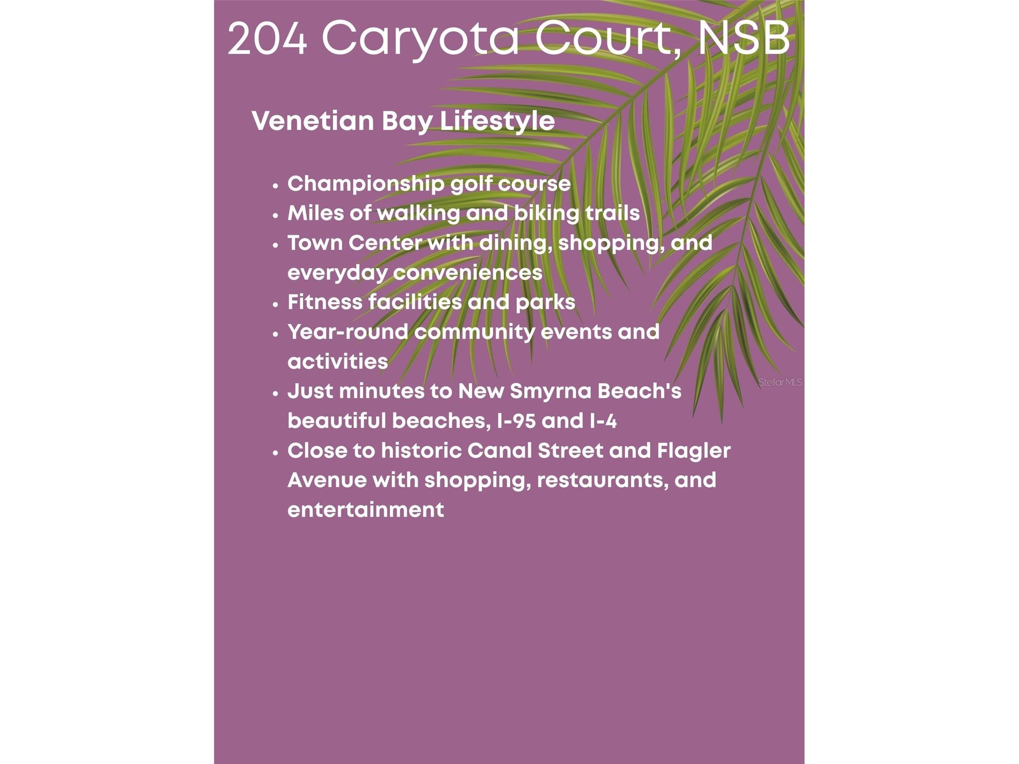 204 Caryota Court New Smyrna Beach FL 32168 V4949907 image16