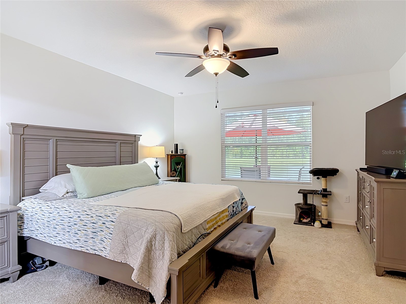 204 Caryota Court New Smyrna Beach FL 32168 V4949907 image6