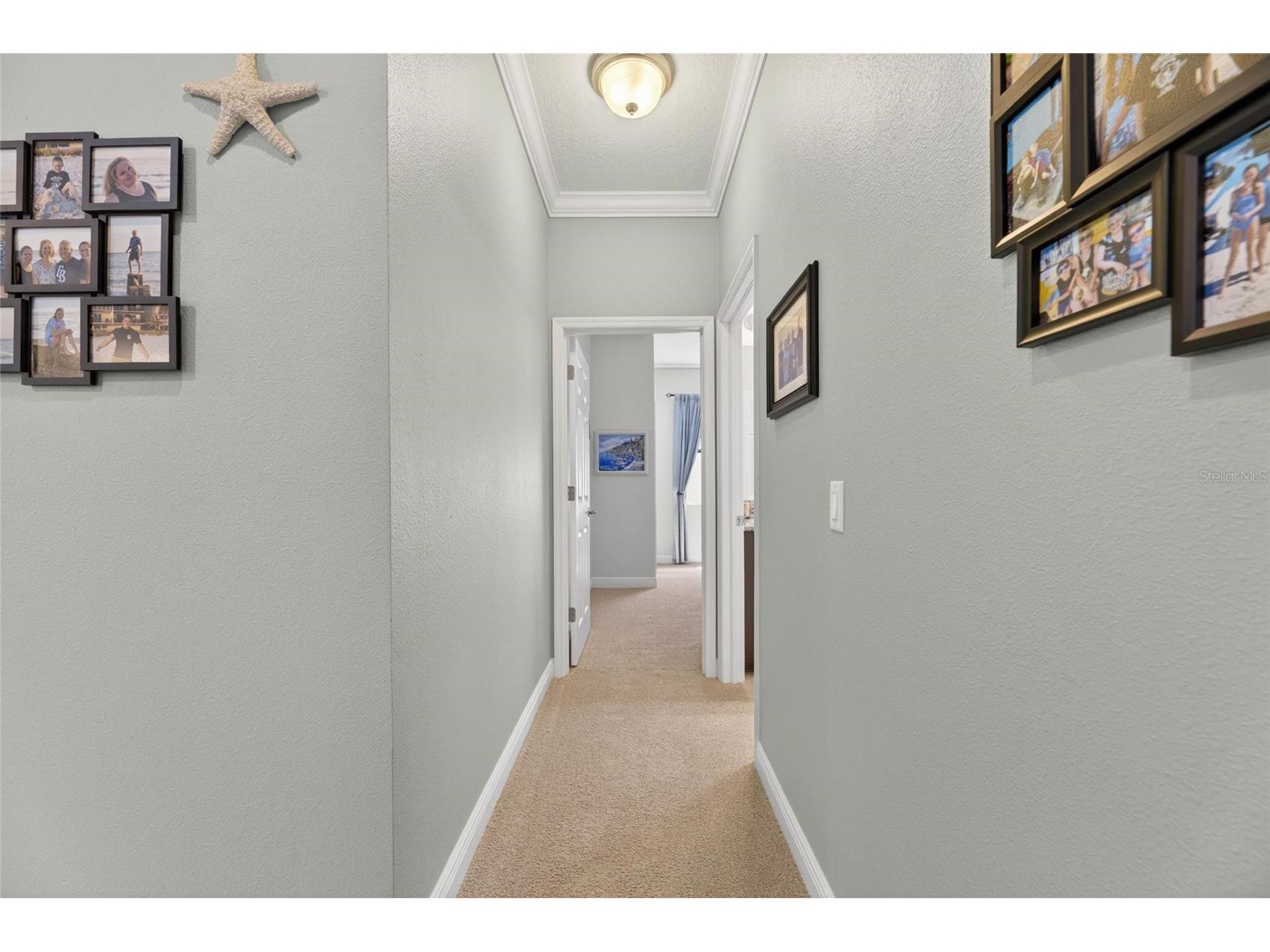 204 Dakota Hill Drive Seffner FL 33584 TB8513097 image22