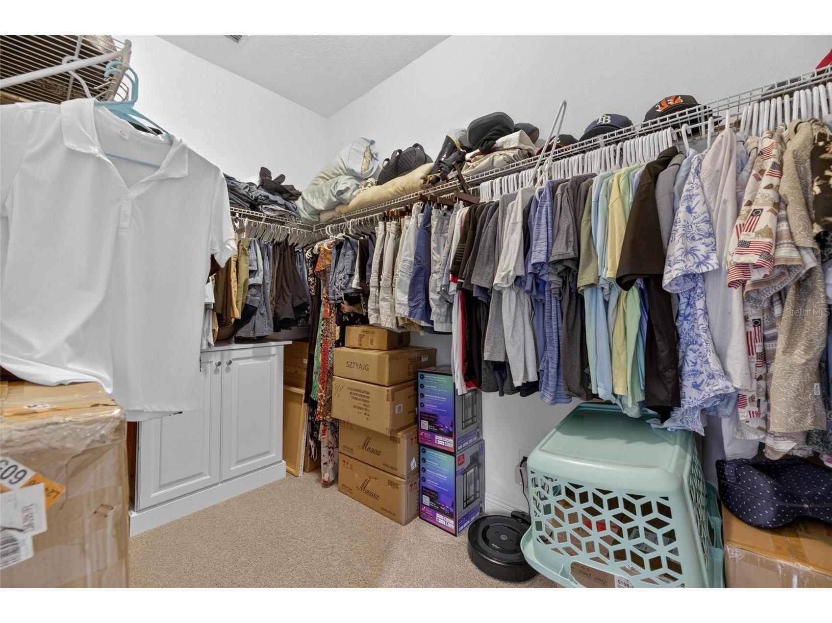 204 Dakota Hill Drive Seffner FL 33584 TB8513097 image53