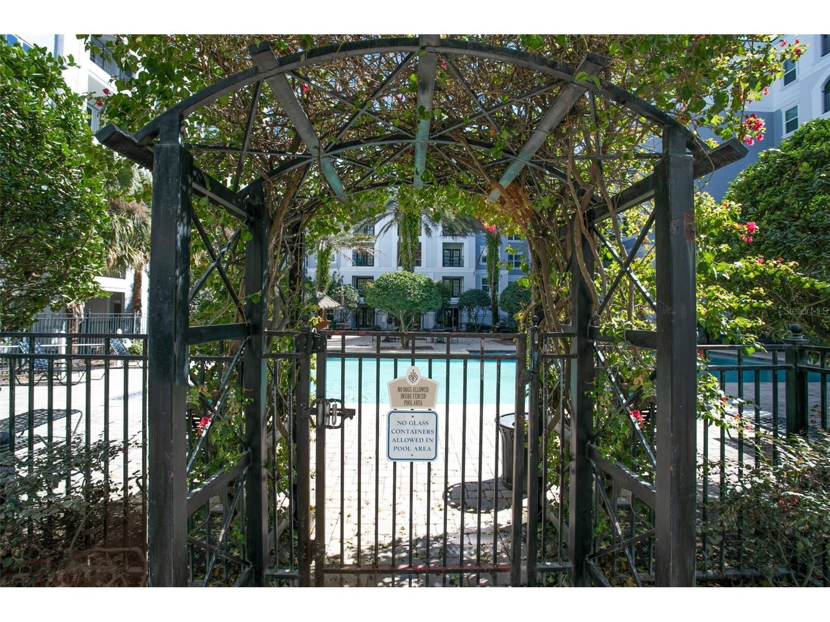 204 E South Street #6057 Orlando FL 32801 O6392128 image25