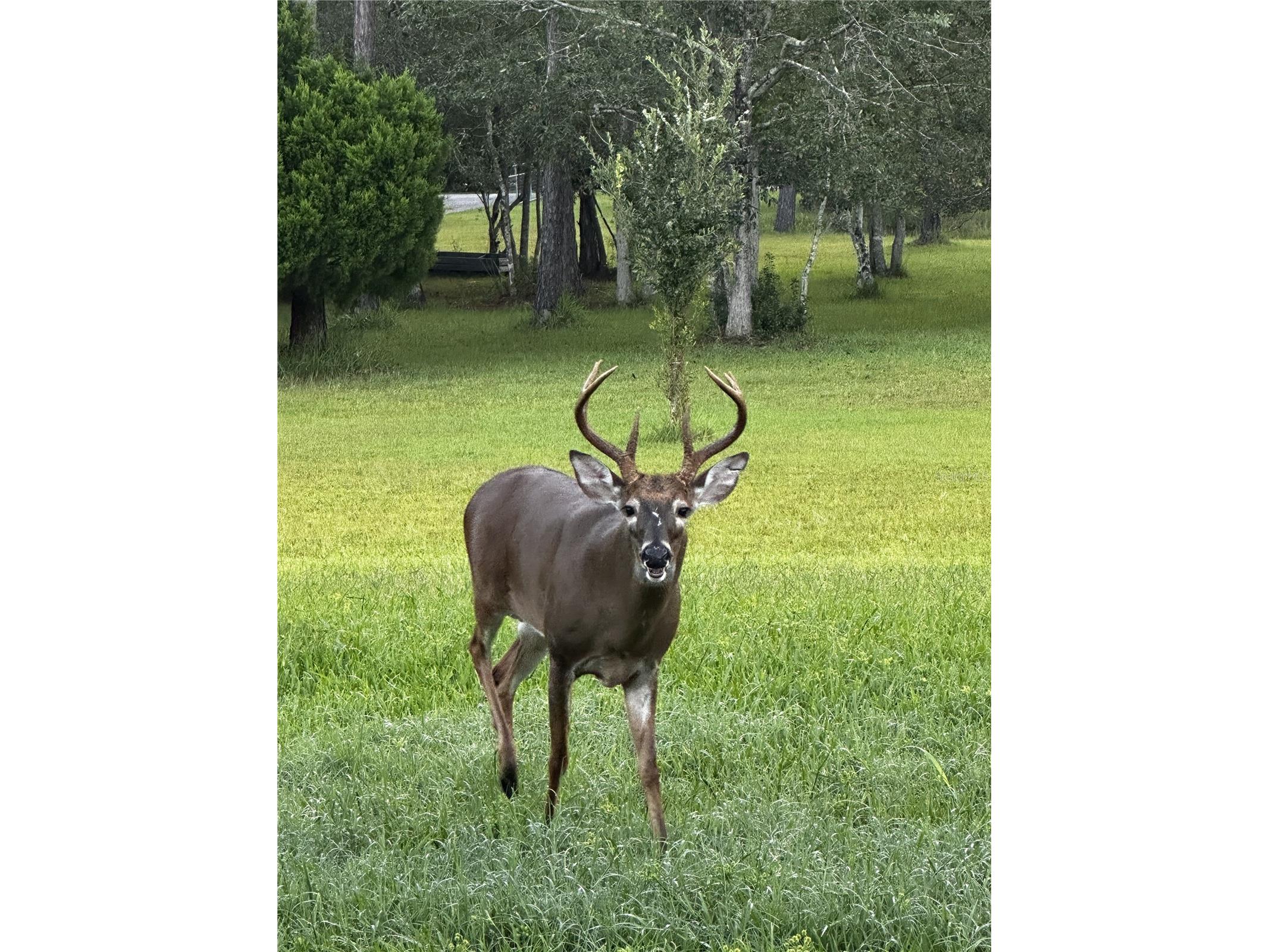 204 El Pino Drive New Smyrna Beach FL 32168 NS1088230 image62