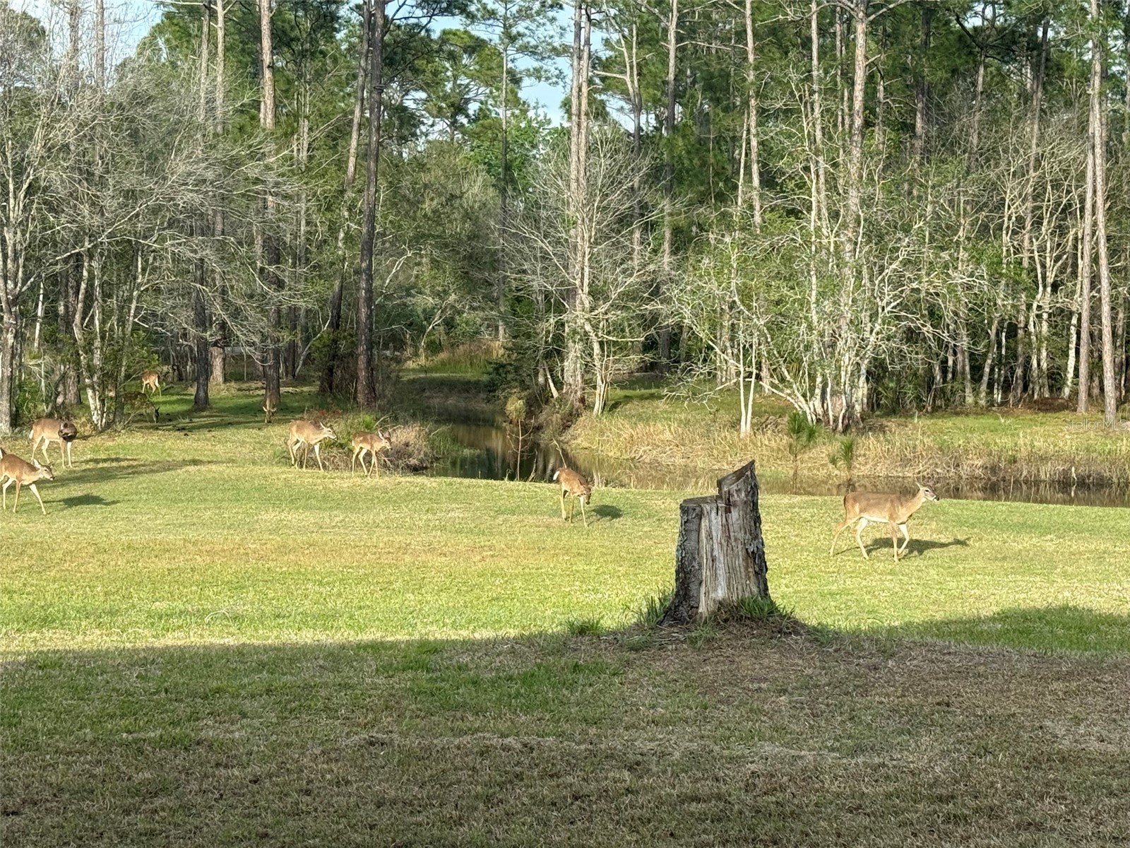 204 El Pino Drive New Smyrna Beach FL 32168 NS1088230 image64