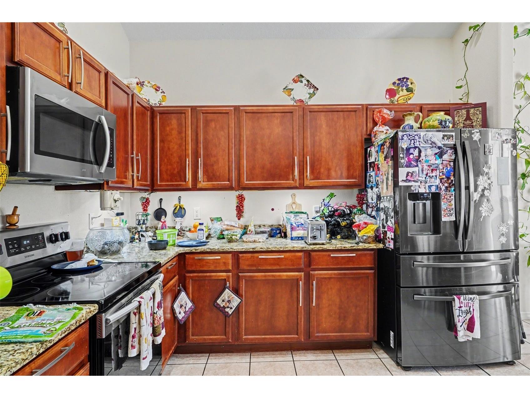 204 Elderberry Drive Davenport FL 33897 TB8512714 image12