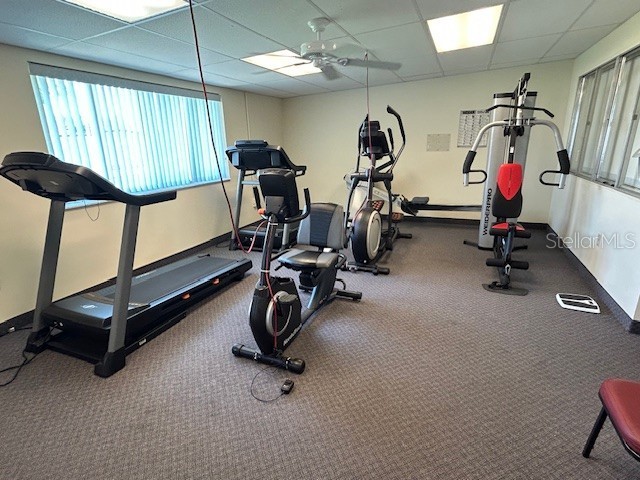 204 Freeport Drive Sarasota FL 34233 A4663279 image8