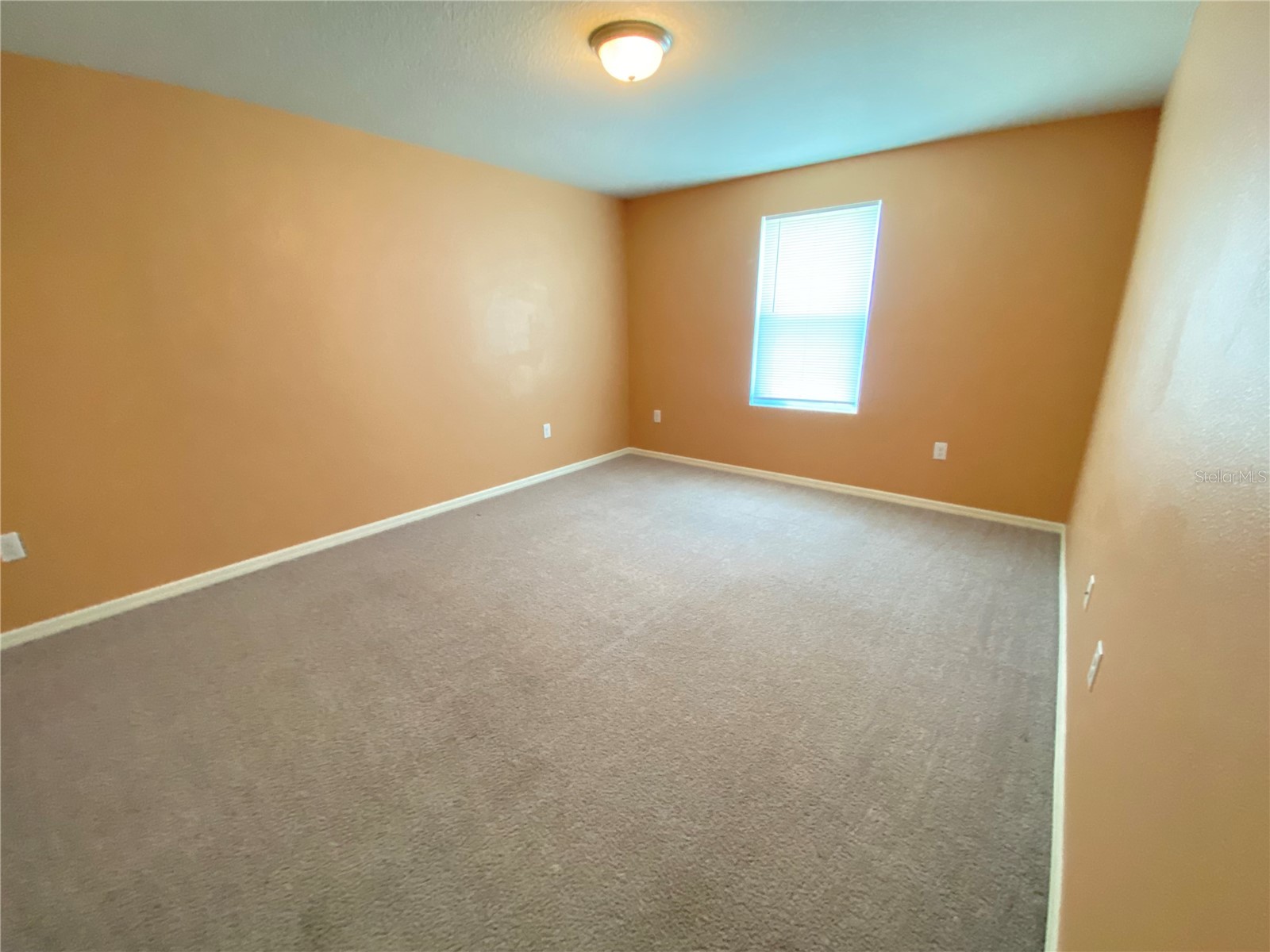 204 Gladiola Court Kissimmee FL 34759 TB8517111 image10