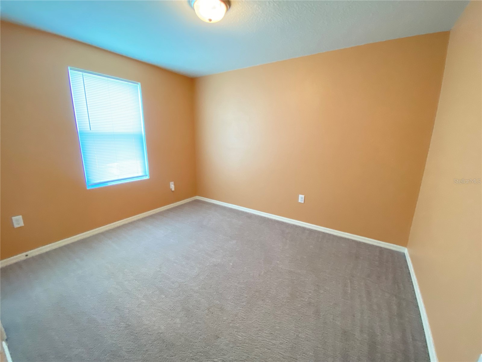 204 Gladiola Court Kissimmee FL 34759 TB8517111 image14