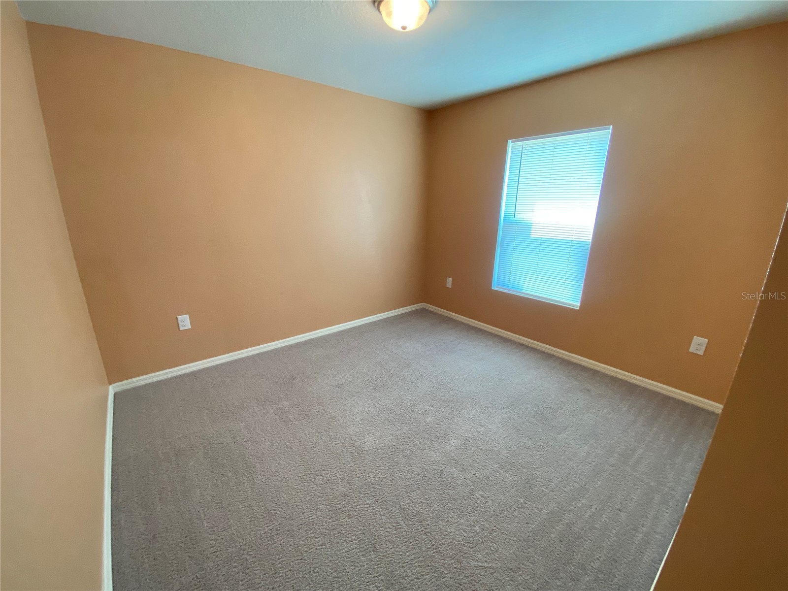 204 Gladiola Court Kissimmee FL 34759 TB8517111 image20