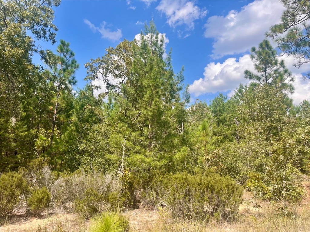 204 Glasgow Street Interlachen FL 32148 OK224819 image1