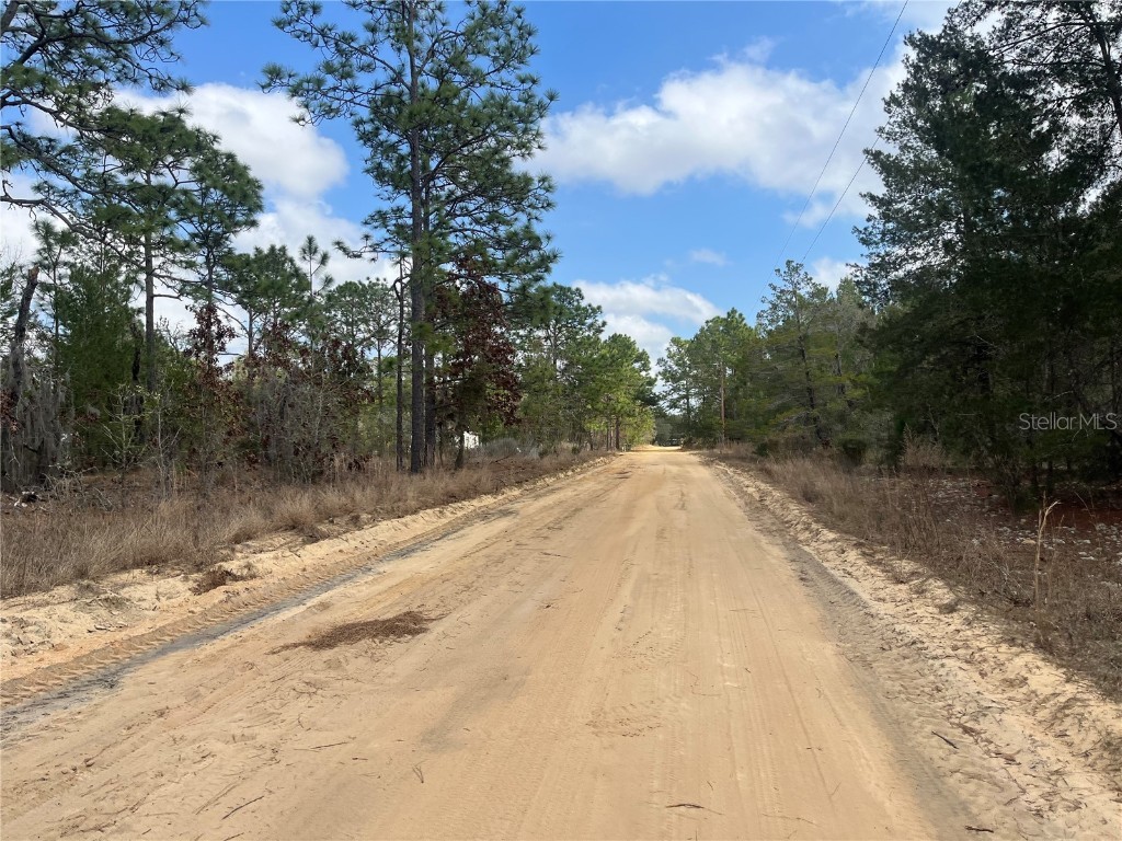 204 Glasgow Street Interlachen FL 32148 OK224819 image10