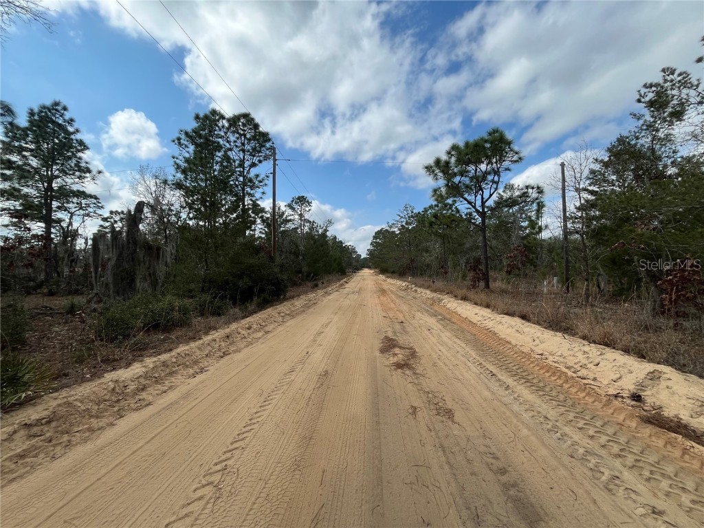 204 Glasgow Street Interlachen FL 32148 OK224819 image15