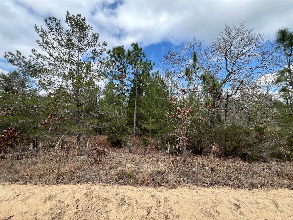 204 Glasgow Street Interlachen FL 32148 OK224819 image16