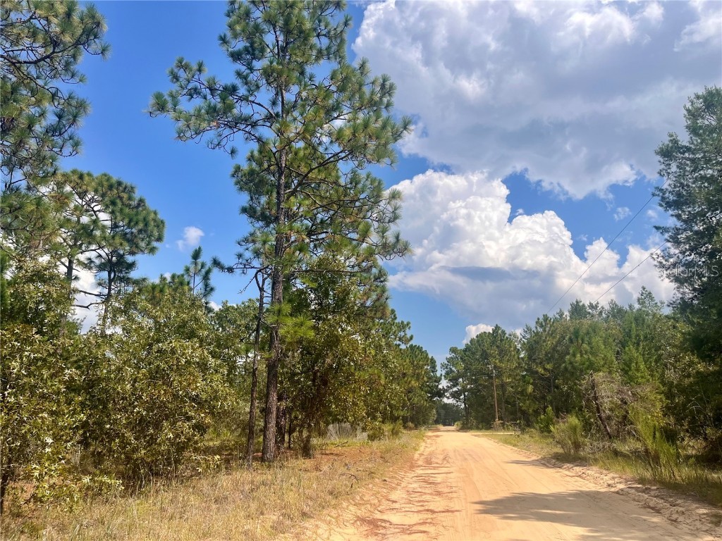 204 Glasgow Street Interlachen FL 32148 OK224819 image2