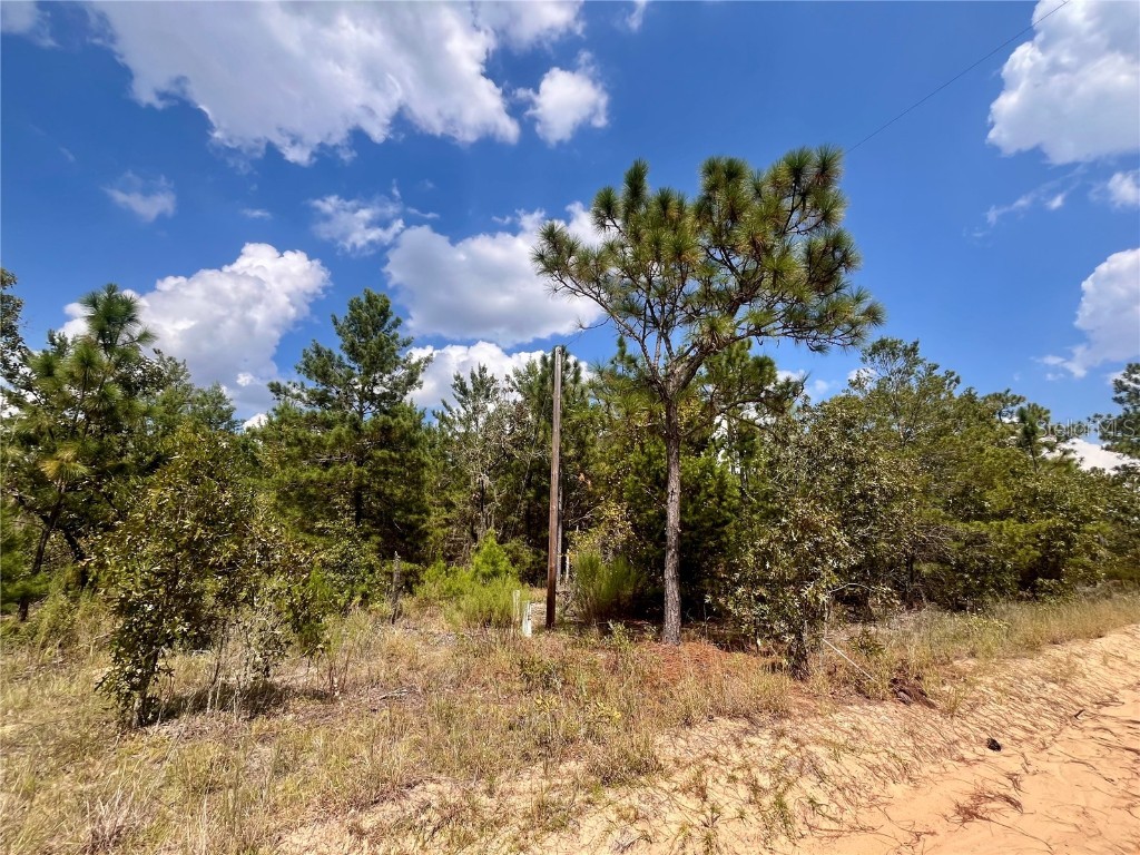 204 Glasgow Street Interlachen FL 32148 OK224819 image3