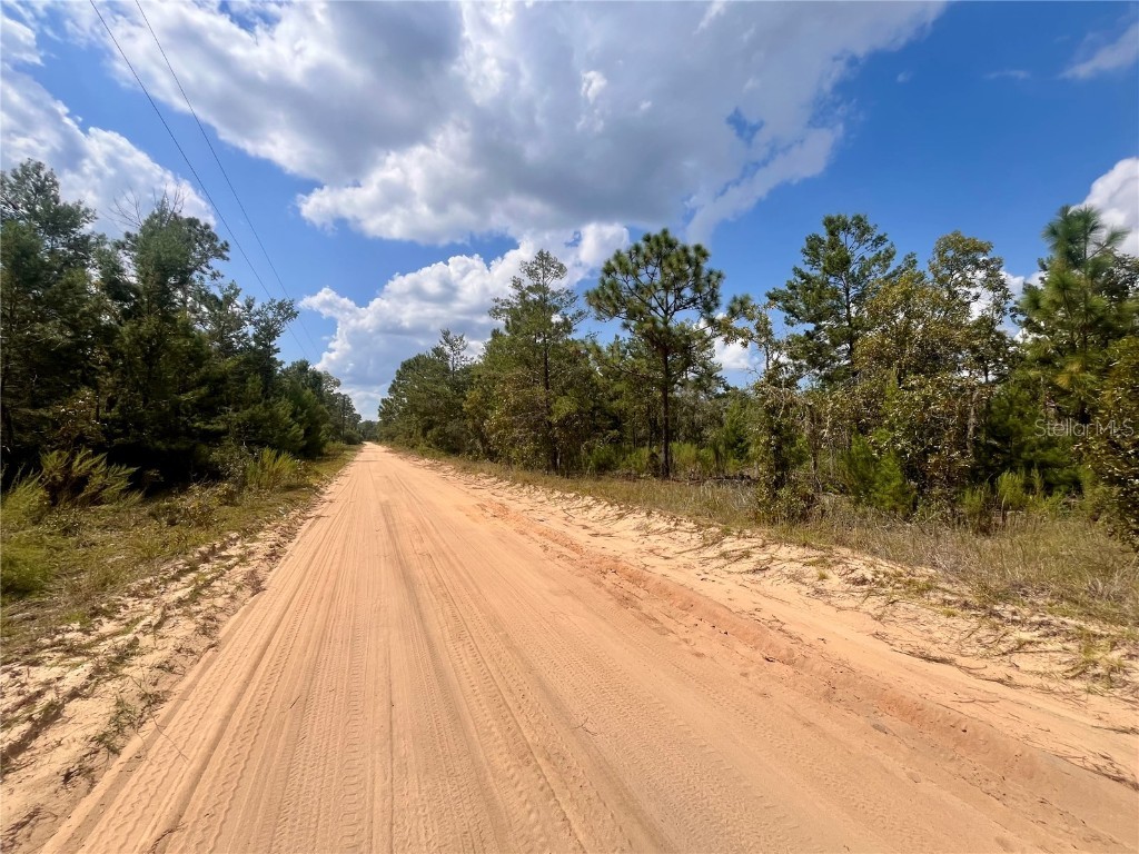 204 Glasgow Street Interlachen FL 32148 OK224819 image4