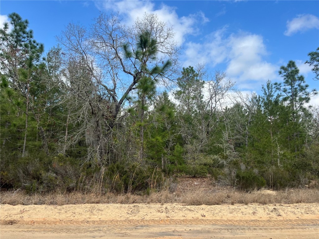 204 Glasgow Street Interlachen FL 32148 OK224819 image6