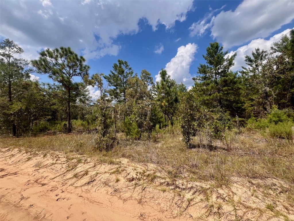 204 Glasgow Street Interlachen FL 32148 OK224819 image7