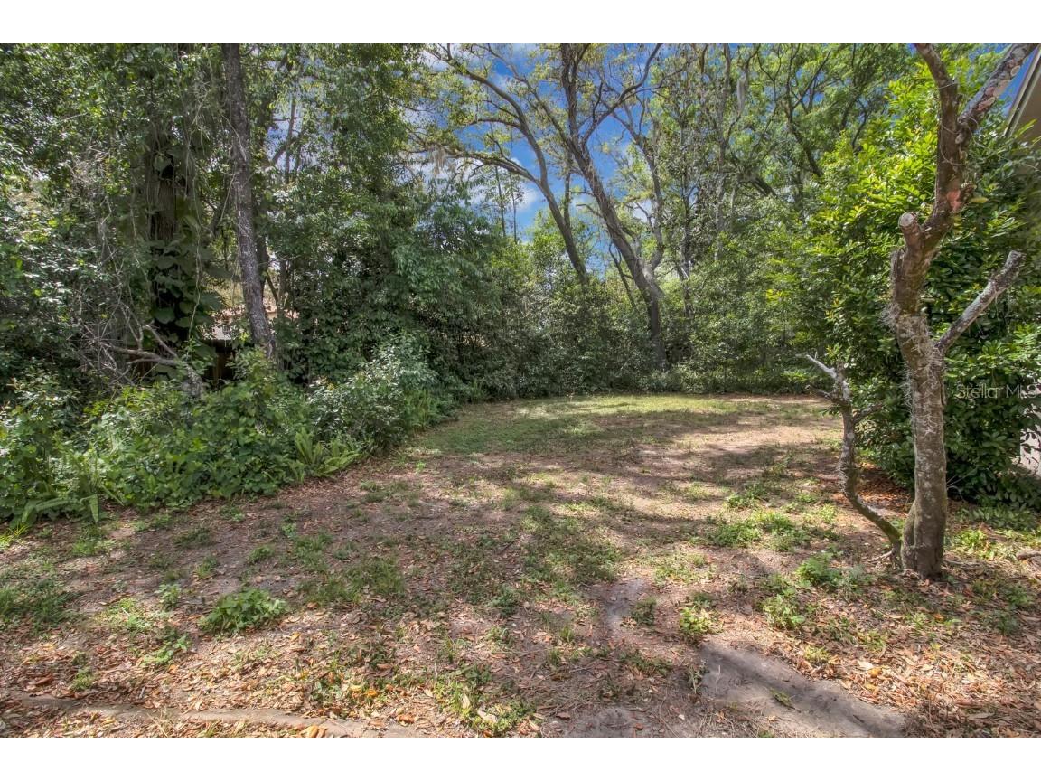 204 Green Lake Circle Longwood FL 32779 - LAKE BRANTLEY AND WEKIVA RIVER O6299404 image49