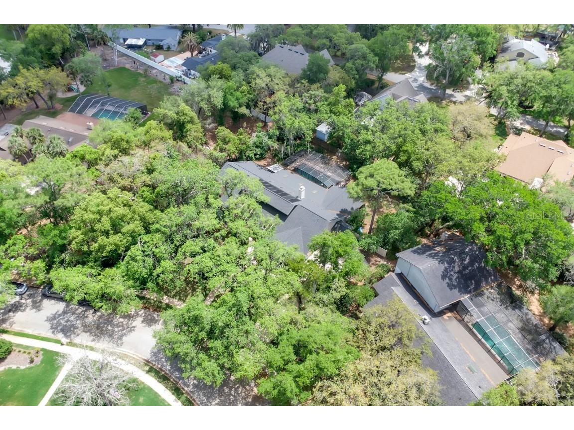 204 Green Lake Circle Longwood FL 32779 - LAKE BRANTLEY AND WEKIVA RIVER O6299404 image52