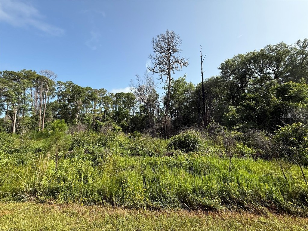 204 Hazel Avenue Georgetown FL 32139 OK225218 image1