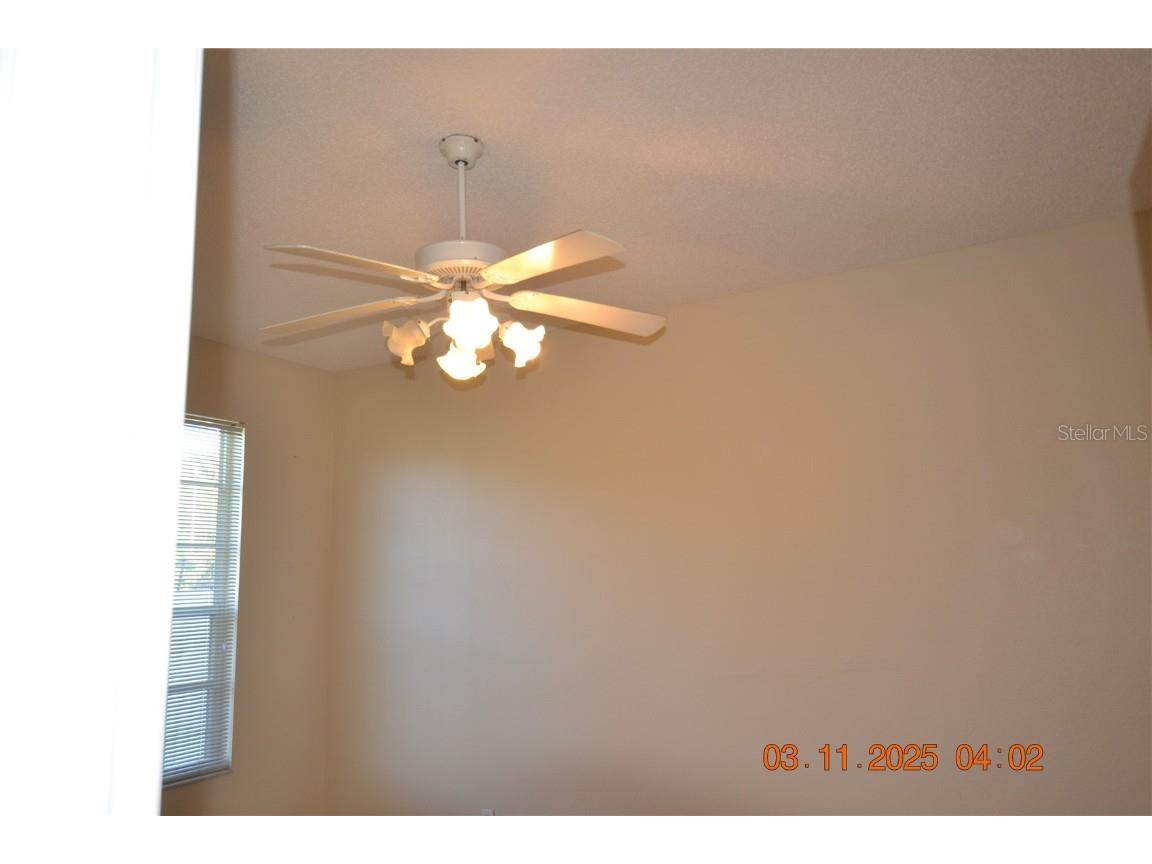 204 Hemingway Drive Oldsmar FL 34677 TB8446286 image19