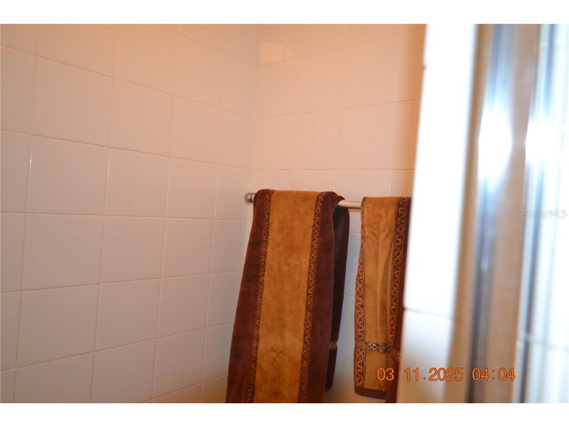 204 Hemingway Drive Oldsmar FL 34677 TB8446286 image28