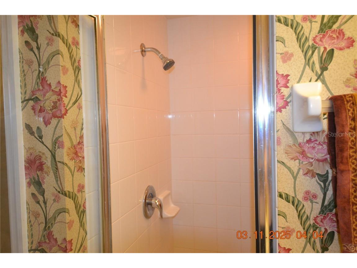 204 Hemingway Drive Oldsmar FL 34677 TB8446286 image29