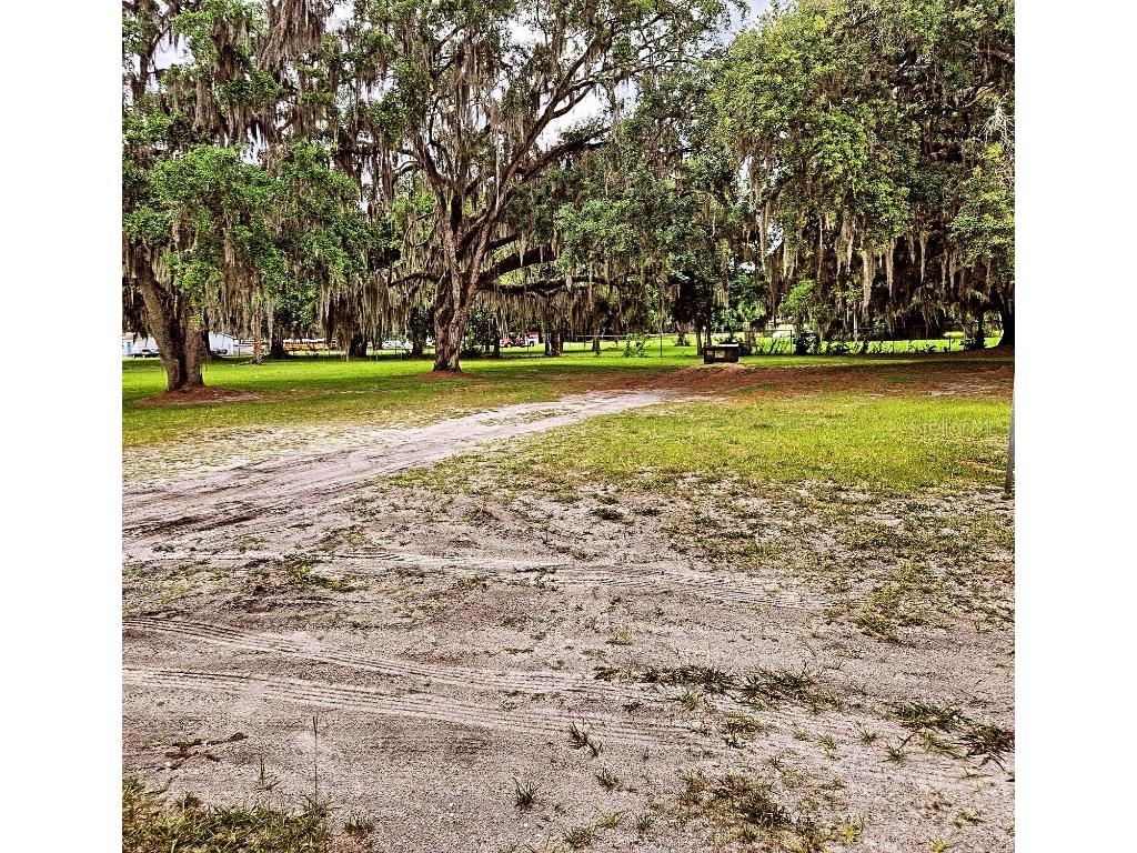 204 Huey Street Wildwood FL 34785 O6206503 image2