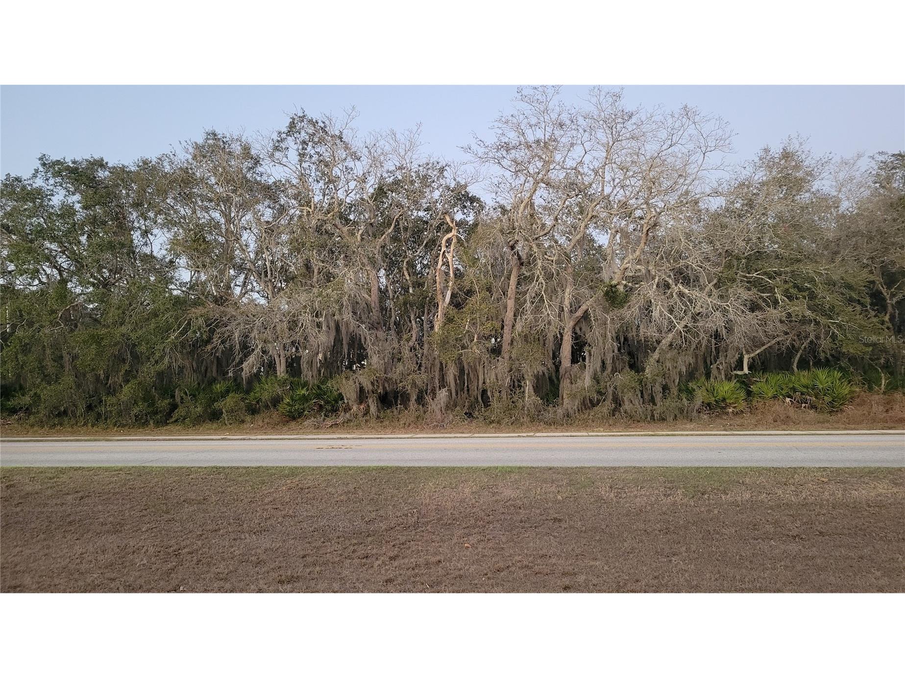 204 Kingfish Way Kissimmee FL 34759 S5142755 image1