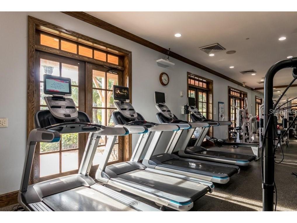 204 Latitude Place Apollo Beach FL 33572 TB8497673 image55