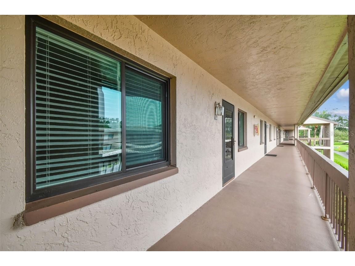 204 Mary Drive Oldsmar FL 34677 TB8423438 image5