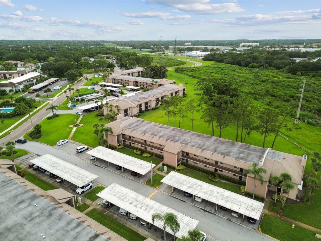 204 Mary Drive Oldsmar FL 34677 TB8449791 image47