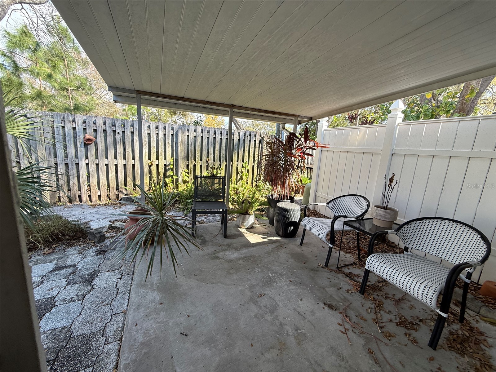 204 Mindy Drive #204 Largo FL 33771 TB8481972 image23