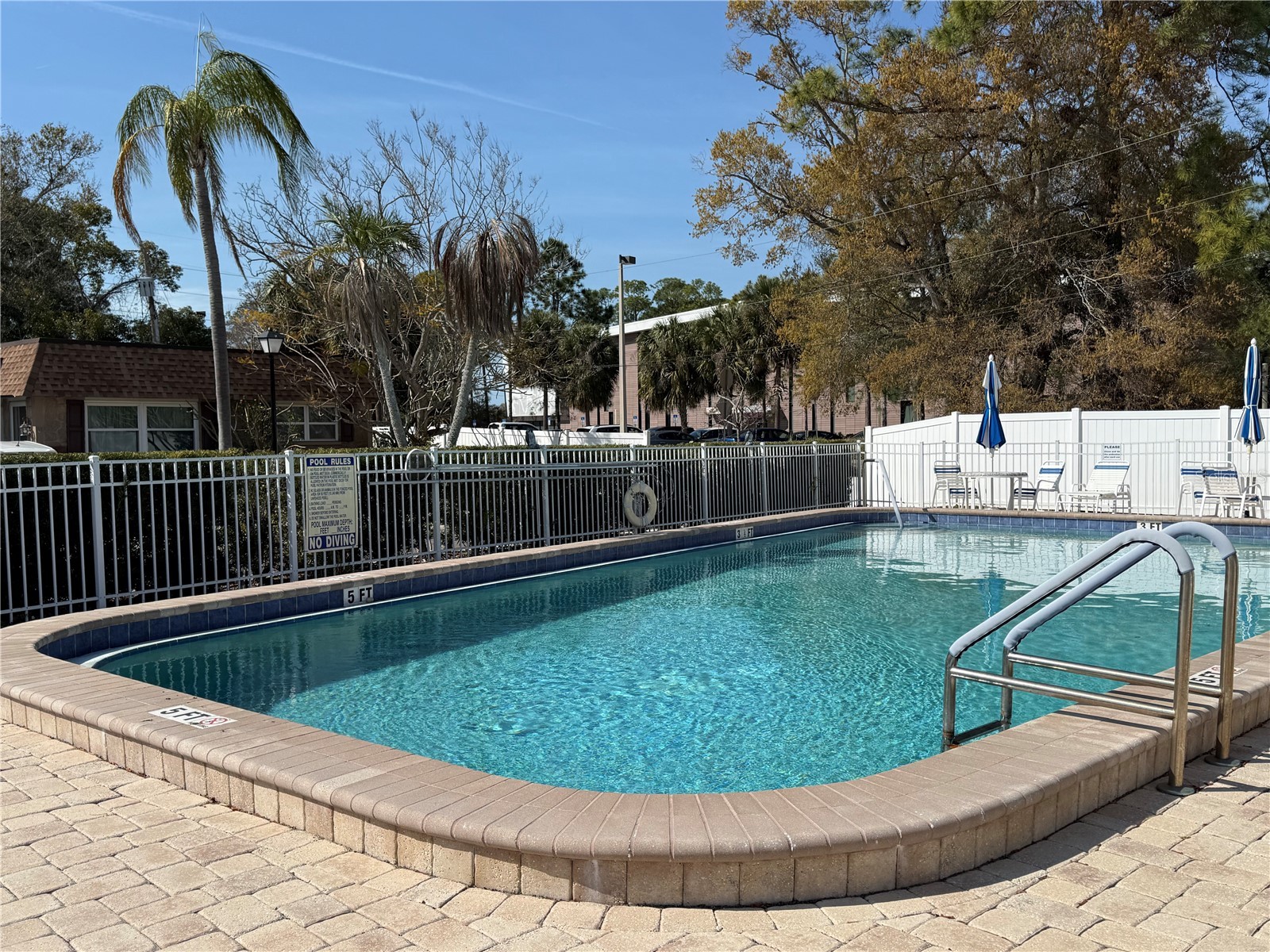 204 Mindy Drive #204 Largo FL 33771 TB8481972 image30