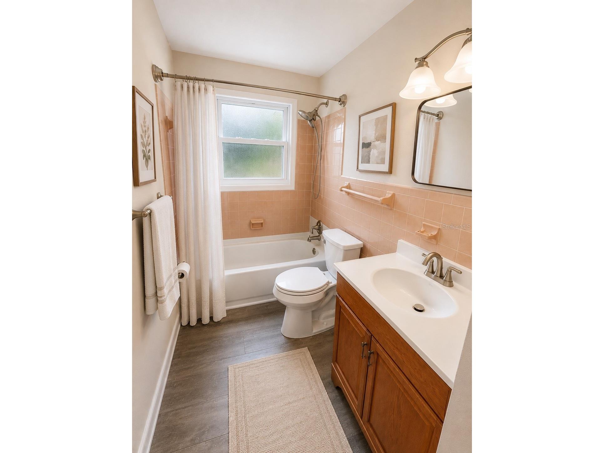 204 Morningside Drive Valrico FL 33594 TB8508429 image10