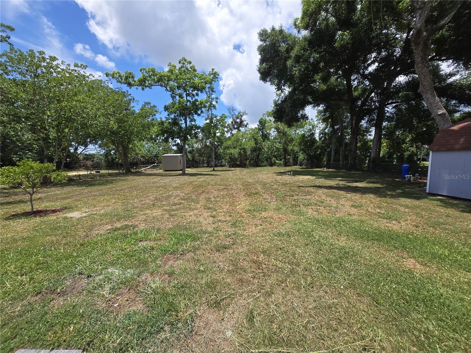204 Morningside Drive Valrico FL 33594 TB8508429 image21