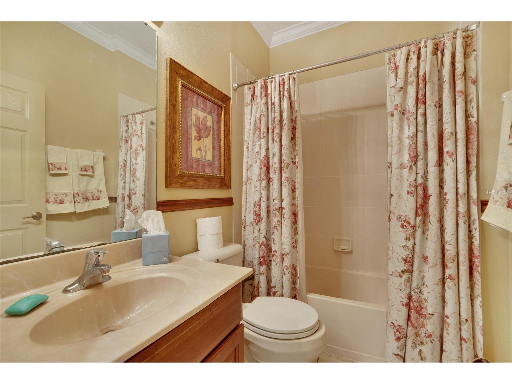 204 Mystic Falls Drive Apollo Beach FL 33572 TB8480523 image33