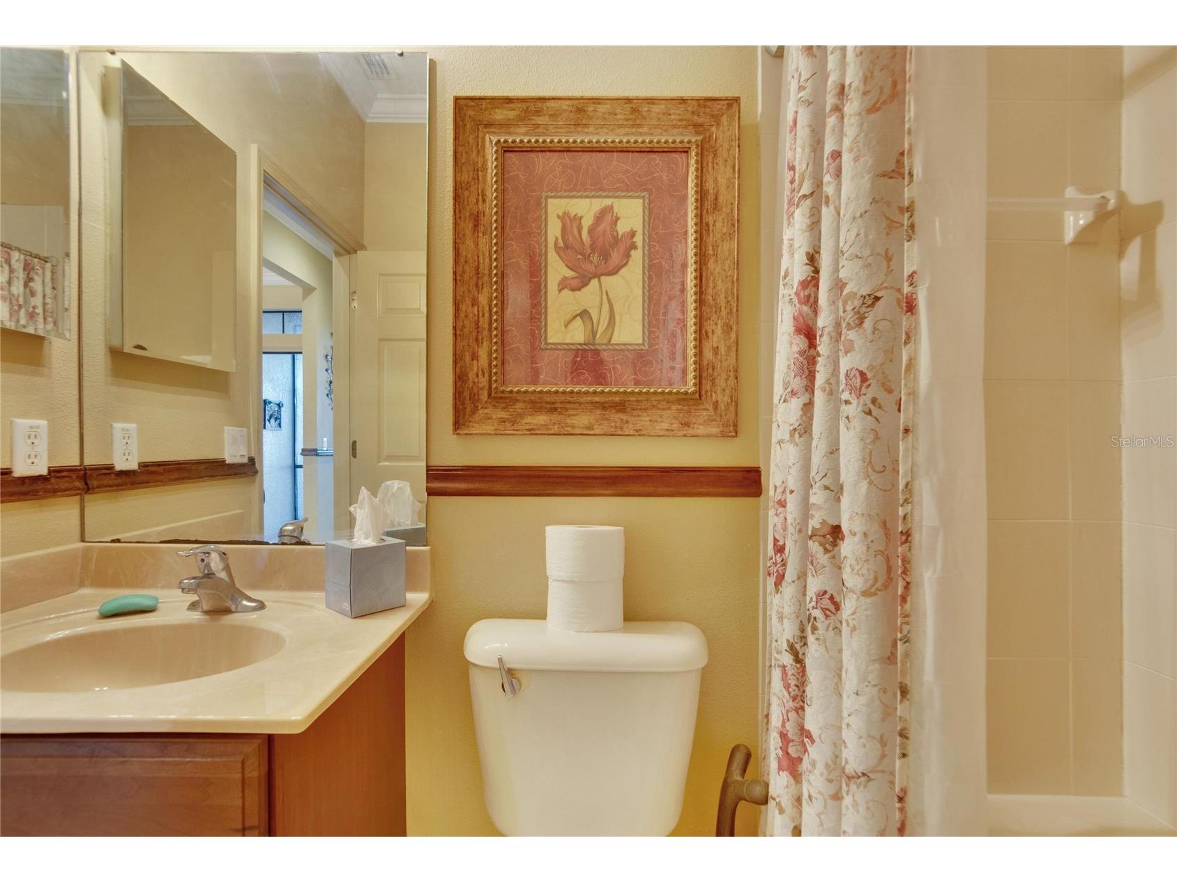 204 Mystic Falls Drive Apollo Beach FL 33572 TB8480523 image34