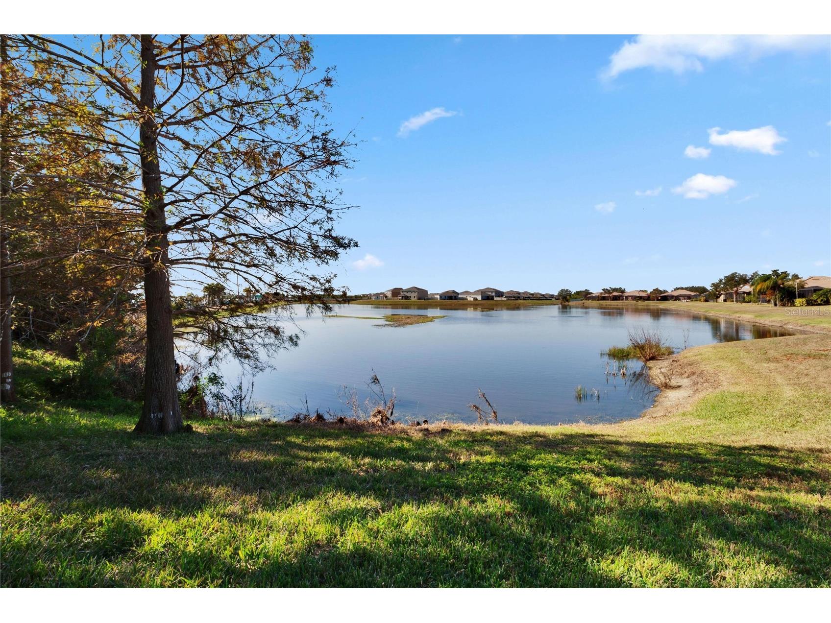 204 Mystic Falls Drive Apollo Beach FL 33572 TB8480523 image42