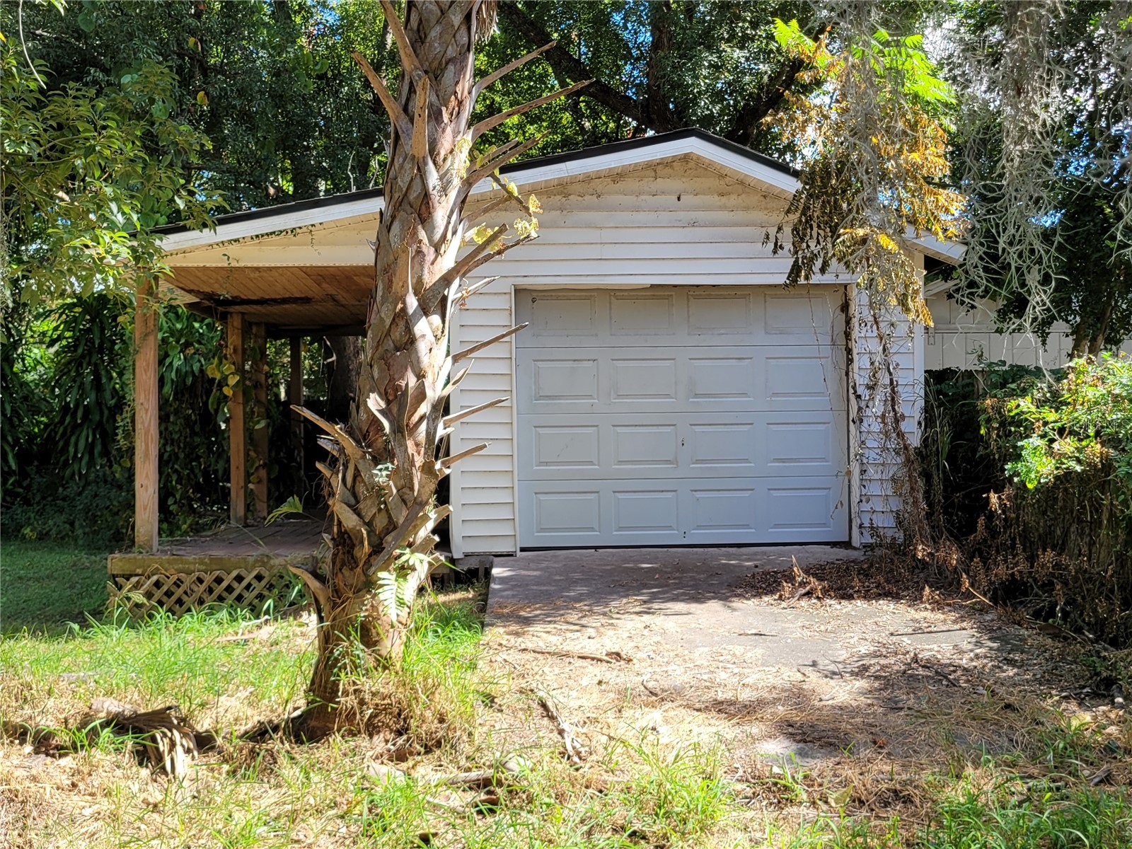 204 N Monroe Avenue Arcadia FL 34266 O6416749 image11