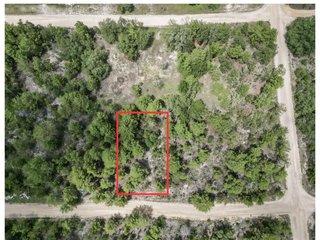 204 Ontario Street Interlachen FL 32148 OM684629 image1