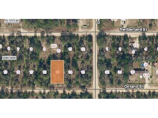 204 Ontario Street Interlachen FL 32148 OM699780 image1